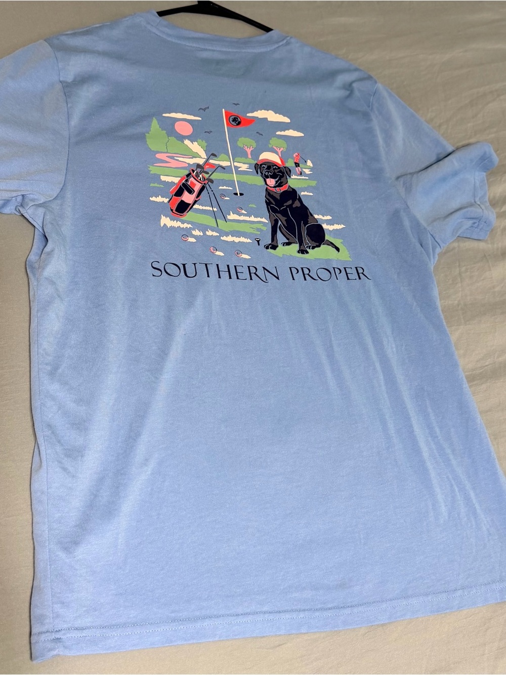 Southern Proper Men's Light Blue Graphic Tee - Golf Dog Design